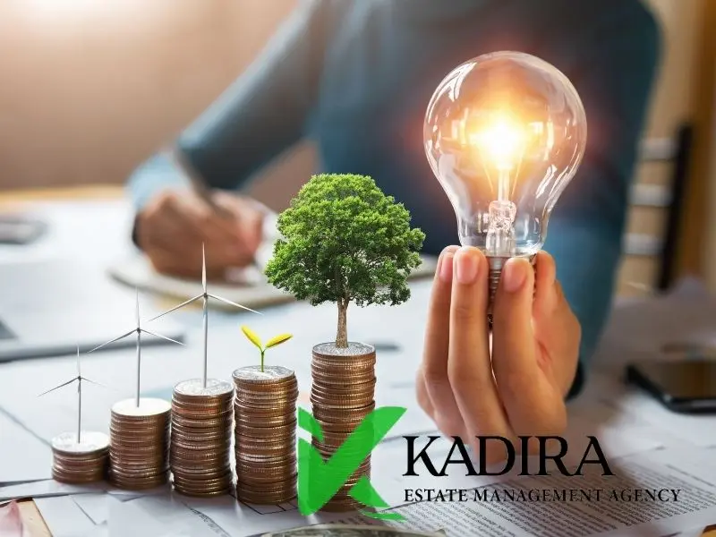 Investment Promotions